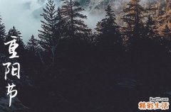 重阳节精美文案寄语精选210句