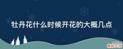 牡丹花什么时候开花的大概几点