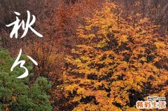 秋分时节文案句子