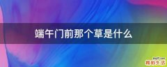 端午门前那个草是什么