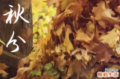 秋分优美文案200句