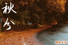 秋分文案寄语200句