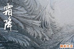 霜降绝美祝福语精选212句