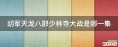 胡军天龙八部少林寺大战是哪一集