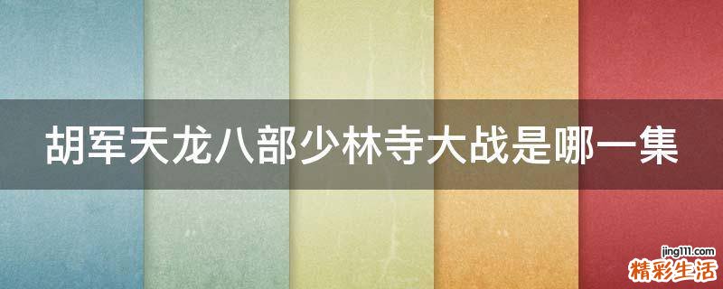 胡军天龙八部少林寺大战是哪一集