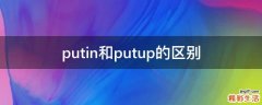 putin和putup的区别