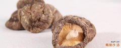 干香菇没泡发可以吃吗 干香菇泡多久可以吃