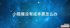 小规模没有成本票怎么办
