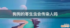 狗狗的寄生虫会传染人吗