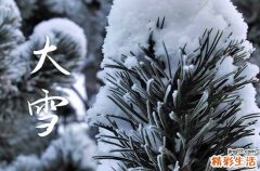 2023年大雪节气是几月几日 2023年大雪节气是哪一天