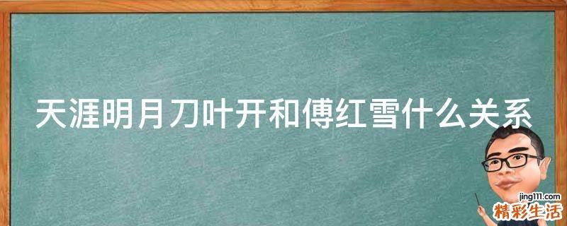 天涯明月刀叶开和傅红雪什么关系