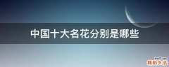 中国十大名花分别是哪些