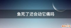 鱼死了还会动它痛吗