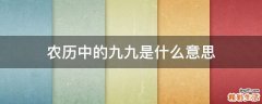 农历中的九九是什么意思