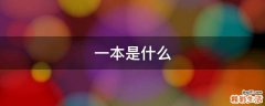 一本是什么
