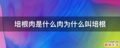 培根肉是什么肉为什么叫培根