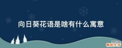 向日葵花语是啥有什么寓意