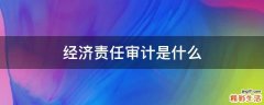 经济责任审计是什么