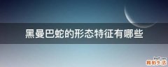 黑曼巴蛇的形态特征有哪些