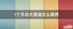 1个月幼犬泰迪怎么喂养