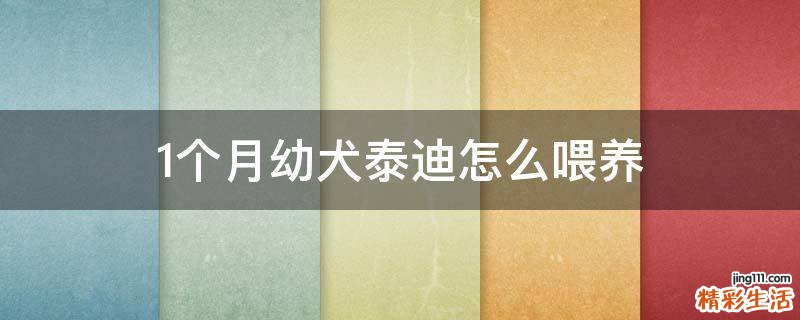 1个月幼犬泰迪怎么喂养