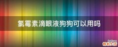 氯霉素滴眼液狗狗可以用吗