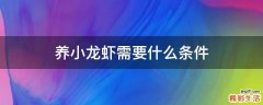 养小龙虾需要什么条件