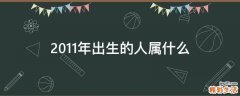 2011年出生的人属什么