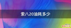 索八2.0油耗多少