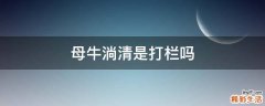 母牛淌清是打栏吗