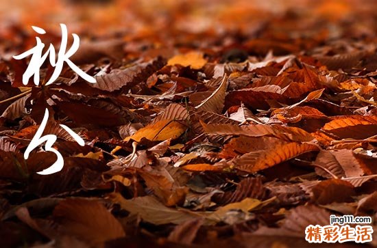 2023年秋分是几时几分几秒