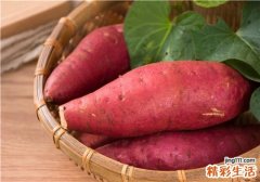 红薯发芽了还能吃吗 如何挑选红薯