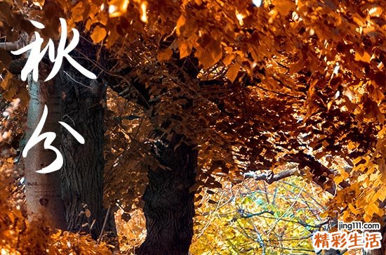 今年什么时间秋分2023