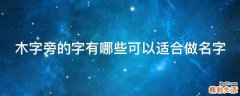 木字旁的字有哪些可以适合做名字