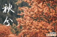 今年秋分几日开始到几日结束2023