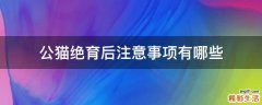 公猫绝育后注意事项有哪些