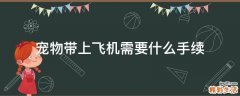 宠物带上飞机需要什么手续