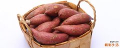红薯有点发芽了还能吃吗 红薯不能和什么一起吃