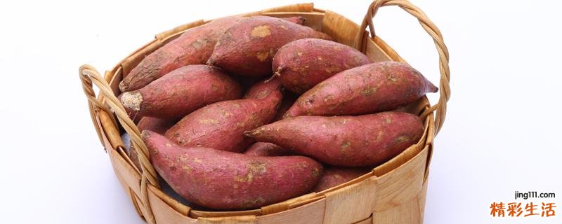 红薯有点发芽了还能吃吗 红薯不能和什么一起吃