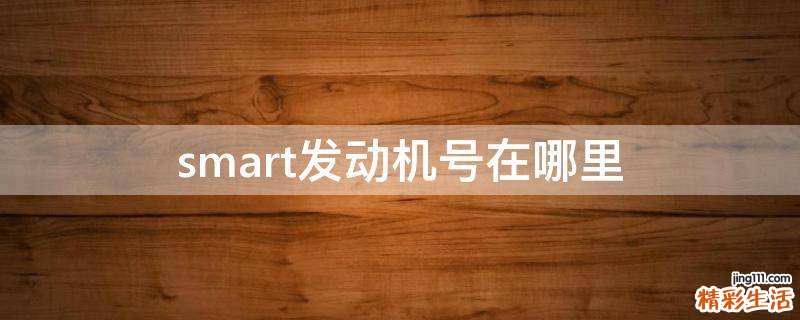 smart发动机号在哪里