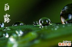 2023朋友圈白露文案