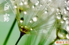 24节气白露走心文案