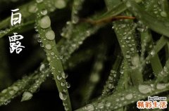 适合白露的文案朋友圈