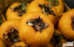 柿子能和红薯一起吃吗 有哪些食物不宜和红薯一起吃