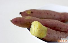 红薯不能与什么同食 红薯跟什么不能一起吃