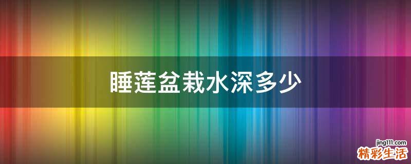 睡莲盆栽水深多少