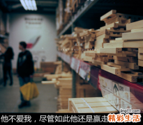 一 十二指肠壅积症分证论治