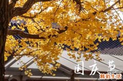 200句 祝国庆节快乐祝福语