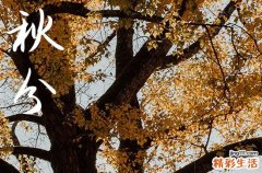 秋分节气句子大全