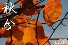 秋分节气经典句子说说
